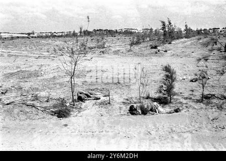 Guerre des 6 jours El Arish, Egypte : soldats égyptiens morts dans la zone entre El Arish et la bande de Gaza, avec les traces de véhicules blindés (arrière-plan). 7 juin 1967 Banque D'Images