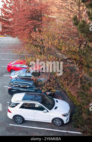 Voitures garées dans le parking. Gros plan de la vue arrière des voitures avec d'autres voitures garées dans le parking extérieur. Quartier de la ville avec des voitures garées sur le Banque D'Images