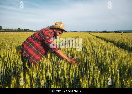 Le jeune agriculteur heureux se tient debout dans son champ de blé en pleine croissance. Banque D'Images