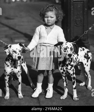 Jennifer Gulding, trois ans, de Cambridge, s'assure que ces deux chiots Dalmation ne changent pas de place, car elle les tient bien au British Dalmation Club Championship Show au Seymour Hall. Les chiots sont Deranor Dynah de MRS E. Jobb et Gay Ripley Rascal de Kirby-Muxloe, près de Leicester. Photo prise le 18 mars 1948. Dalmation est une race de chien, connue pour son pelage blanc avec des taches noires ou hépatiques, qui sont uniques à la race Dalmation. Bien qu'il existe des variations, toute marque de couleur autre que le noir ou le foie est une disqualification chez les Dalmatiens de race pure. La race prend Banque D'Images