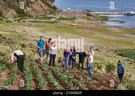 Un groupe diversifié de personnes travaillant ensemble dans une ferme près du lac Titicaca, mettant en valeur le travail d'équipe et l'agriculture au milieu de paysages naturels époustouflants. Banque D'Images