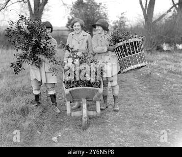 À la ferme avicole de Miss Harrison Bell à Codicote, près de Welwyn. Land Girls apportant leurs décorations de noël. 20 décembre 1923 Banque D'Images