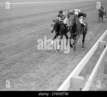 Newbury. 'Sabot' (à droite), vainqueur, approchant l'arrivée de la 'Royal plate' le 22 juin 1938 Banque D'Images