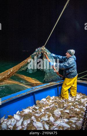 Robert Ball (59 ans) pose des filets de pêche dans la Manche, à environ cinq milles du port de Rye, East Sussex, août 2017. Ils sont en mer pendant plus de 12 heures, capturant principalement la sole de Douvres, la plie, le fouet et les dabs. Banque D'Images