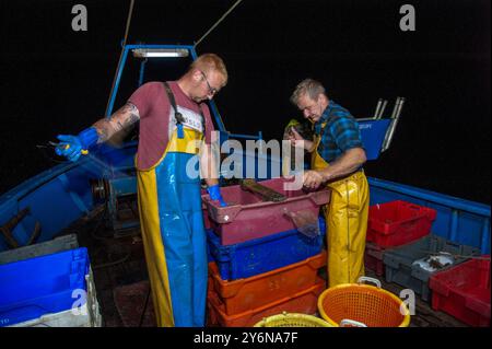 Robert Ball (59 ans) et son fils Shane (24 ans), pêchant dans la Manche, à environ cinq miles du port de Rye, East Sussesx, août 2017. Ils sont en mer pendant plus de 12 heures, capturant principalement la sole de Douvres, la plie, le fouet et les dabs. Banque D'Images