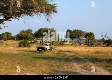 Un véhicule de safari hors route traverse la savane riche en faune sauvage de la réserve de gibier de Selous, mettant en valeur de vastes paysages et des aventures. Parfait pour nat Banque D'Images