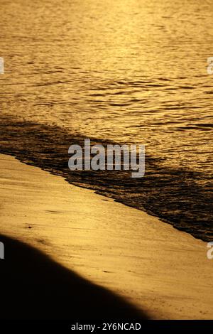 La lumière dorée chaude du soleil couchant projette une lueur paisible sur les vagues ondulantes de l'océan le long d'une plage sereine. La scène tranquille évoque un sentiment de calme Banque D'Images