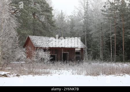 Vieux bâtiment agricole abandonné à la lisière de la forêt par une journée brumeuse d'hiver, givre sur les arbres et les arbustes. Banque D'Images