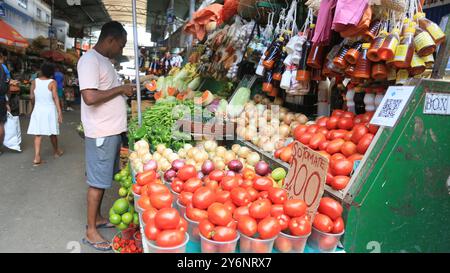 feira de sao joaquim salvador, bahia, brésil - 25 septembre 2024 : vue de la foire Sao Joaquim dans la ville de Salvador. SALVADOR BAHIA BRASIL Copyright : xJoaxSouzax 260824JOA011 Banque D'Images