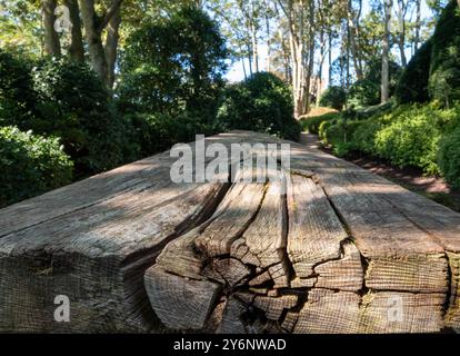 Les jardins d'Etratat, Normandie France, avec des haies topiaires bien entretenues. Situé au sommet de la falaise surplombant la formation rocheuse de la porte d'aval. Banque D'Images