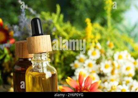 Teintures en bouteilles et herbes médicinales sur table, gros plan Banque D'Images