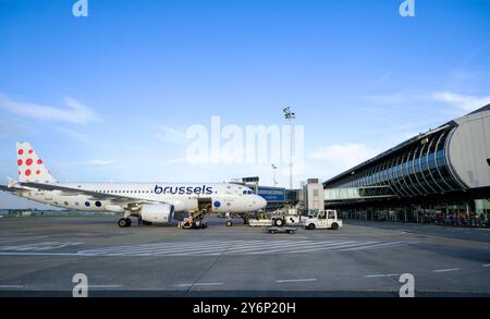 Belgique, Bruxelles, Brussels Airport : Brussels Airlines Airbus A320-214 Banque D'Images