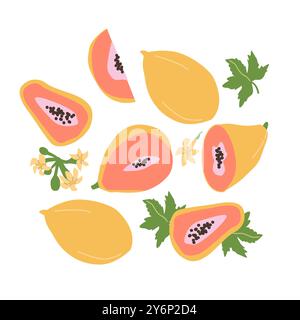 Ensemble de plantes de papaye aux fruits abstraites dessinées à la main. Fruits entiers, tranches, morceaux et feuilles, fleurs. Peut être utilisé pour les affiches, étiquettes, motifs. Illustration de Vecteur