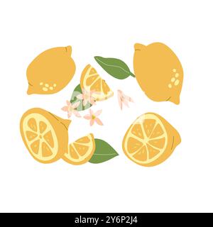 Citrons modernes abstraits dessinés à la main avec des feuilles et des fleurs. Illustration plate isolée. Collection d'agrumes avec parties de plantes. Couleurs rétro. Motif citron pour décoration murale. Illustration de Vecteur