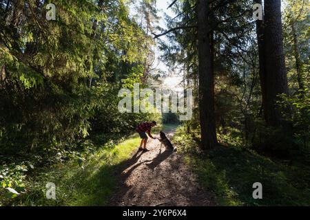 Un propriétaire mâle forme un chien Husky ??dans la forêt un jour d'été. Banque D'Images