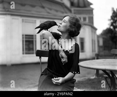 Jack ' s Lady Friend . Une jackdaw apprivoisée au Karsino , Tagg ' s Island sur la Tamise en Angleterre , se lie d'amitié avec son admirateur fidèle . 10 septembre 1923 Banque D'Images