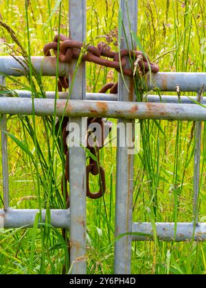 Chaîne en métal et cadenas sécurisant une porte sur une ferme avec champ en arrière-plan. Banque D'Images