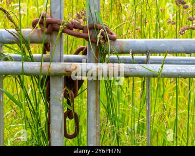 Chaîne en métal et cadenas sécurisant une porte sur une ferme avec champ en arrière-plan. Banque D'Images