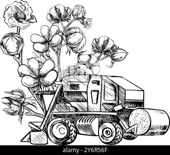 Récolteuse de coton. Une illustration graphique vectorielle en noir et blanc réalisée à la main. Composition stylisée d'une récolteuse de coton moderne utilisée en agriculture Illustration de Vecteur