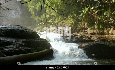 Cascade sereine coulant à travers la jungle verte luxuriante, avec la lumière du soleil Banque D'Images