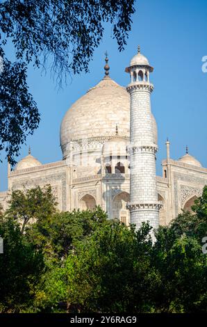 Taj Mahal, mausolée, UNESCO World Heritage Site, Agra, Uttar Pradesh, Inde Banque D'Images