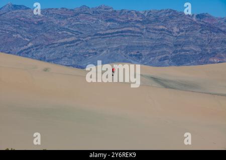 Death Valley California, Mesquite Flat Dunes, avec , chaîne de montagnes en arrière-plan, un endroit pour la randonnée et l'exploration Banque D'Images