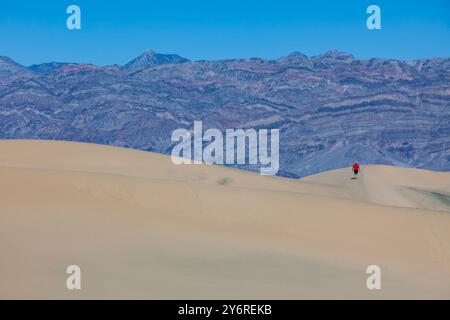 Death Valley California, Mesquite Flat Dunes, avec , chaîne de montagnes en arrière-plan, un endroit pour la randonnée et l'exploration Banque D'Images