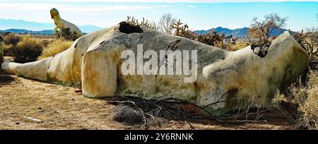 Les ruines abandonnées de dinosaures en béton dans Apple Valley, en Californie, sont un spectacle fascinant et étrange. Créés dans les années 1970 par Lonnie Coffman pour un mini-golf qui n’a jamais été achevé, ces dinosaures ont été laissés se détériorer dans le désert. Banque D'Images