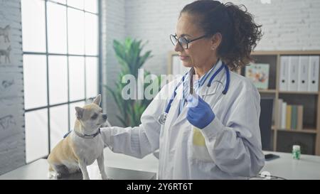 Une femme hispanique d'âge moyen vétérinaire examine un chihuahua dans une salle de clinique Banque D'Images