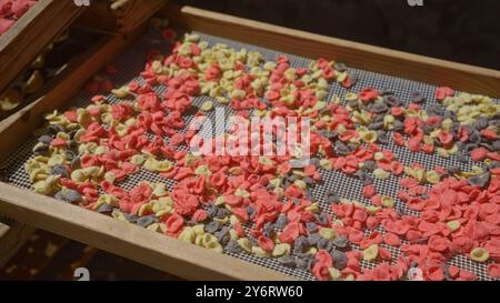 Pâtes orecchiette colorées séchant sur un plateau au soleil à l'extérieur à bari, pouilles, italie, mettant en valeur la cuisine italienne traditionnelle. Banque D'Images