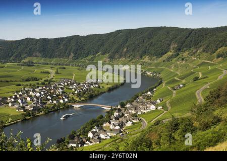 Village pittoresque au bord de la rivière et dans les vignes, Piesport, Moselle, Rhénanie-Palatinat, Allemagne, Europe Banque D'Images