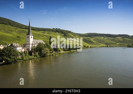 Village pittoresque au bord de la rivière et dans les vignes, Piesport, Moselle, Rhénanie-Palatinat, Allemagne, Europe Banque D'Images