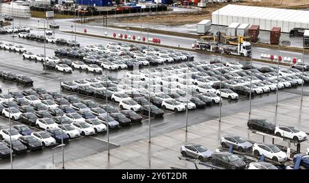 Voitures neuves Tesla y garées dans un parking à l'usine Tesla Giga, Gruenheide, 25.09.2024., Gruenheide, Brandebourg, Allemagne, Europe Banque D'Images