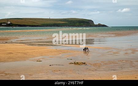 Rock, Cornouailles, Angleterre, juin 2024, une vue de Rock Beach Banque D'Images