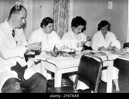 Hull, Yorkshire : se préparant à donner des injections anti-poliomyélite à la clinique Collman Street, Hull, hier, sont ( de gauche à droite ) Mme Parker, Mme Johnson, Mlle Gibbons et Dr Garey. Une augmentation alarmante du nombre de victimes de la polio dans la ville a accéléré la vaccination. Quinze nouveaux cas de poliomyélite ont été signalés depuis la fin du mois de septembre. Utilisé pour la première fois en Grande-Bretagne, un nouveau vaccin oral sera utilisé à partir de mercredi prochain. Deux gouttes sont prises sur des morceaux de sucre et une protection immédiate est revendiquée. 14 OCTOBRE 1961 Banque D'Images