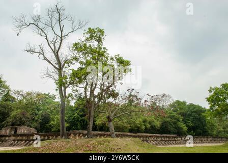 Le site archéologique touristique d'El Tajin créé par la civilisation totonaca à Veracruz, au Mexique. UNESCO World Heritage Center. Banque D'Images