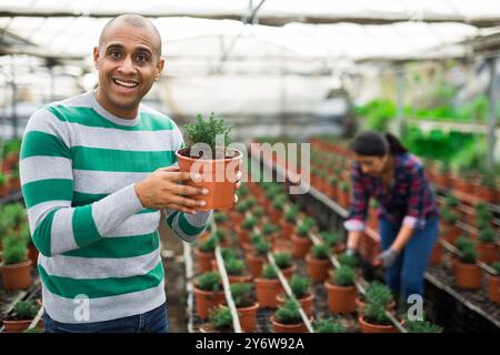 couple travaillant ensemble dans la ferme de serre Banque D'Images