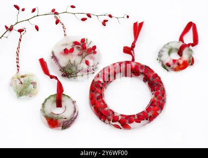 Belles décorations de glace congelées faites de glace et de rose rouge hanches baies fleurs de lanterne chinoise, brindilles de fleurs de bruyère à l'extérieur dans un jardin enneigé d'hiver Banque D'Images