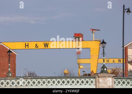 H & W Belfast emblématique jaune industriel Harland & Wolff grues de chantier naval journée ensoleillée avec fond de ciel bleu. Banque D'Images