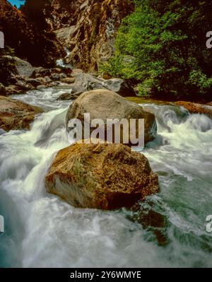 Roaring River Falls, Kings Canyon National Park, Californie Banque D'Images