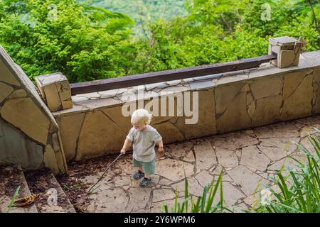 Enfant en bas âge jouant avec un bâton et laisse dans le parc. Curiosité infantile, exploration de la nature et concept de moments ludiques Banque D'Images