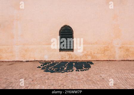 Cuir pour pantoufles séchant au soleil sur une rue contre un mur rose dans la médina, Marrakech, Maroc, travail artisanal traditionnel, architecte historique Banque D'Images