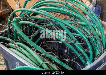 Tuyaux d'irrigation goutte à goutte en vinyle vert et en caoutchouc dans un bac en plastique bleu. Banque D'Images