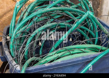 Tuyaux d'irrigation goutte à goutte en vinyle vert et en caoutchouc dans un bac en plastique bleu. Banque D'Images