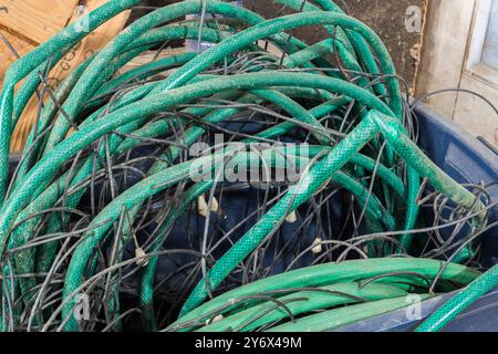 Tuyaux d'irrigation goutte à goutte en vinyle vert et en caoutchouc dans un bac en plastique bleu. Banque D'Images