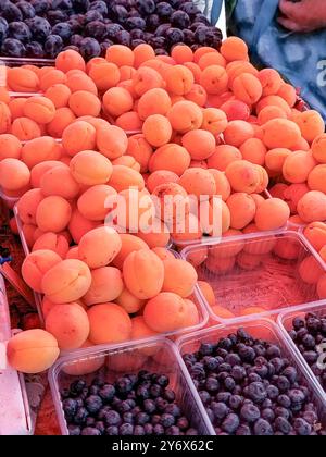 Fruits de saison biologiques dans un grand assortiment au marché de l'agriculteur, fond alimentaire, vertical. Banque D'Images