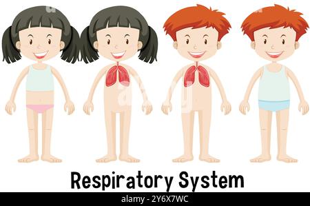 Illustration de l'anatomie du système respiratoire de l'enfant Illustration de Vecteur