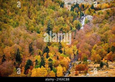 Forêt décidue mixte, Molières valley, Aran , du massif pyrénéen, Lleida, Catalogne, Espagne, Europe. Banque D'Images