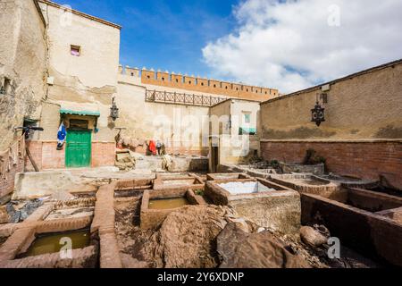 Tannerie, Médina de Tetuan , Patrimoine mondial de l'UNESCO, Maroc, Afrique du Nord, continent africain. Banque D'Images