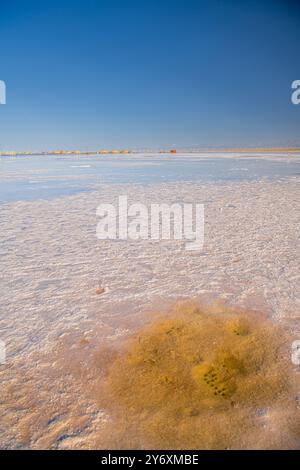 Préfecture autonome mongole et tibétaine de Hainan, province de Qinghai-région pittoresque du lac salé de Chaka, ciel bleu avec espace de copie pour le texte Banque D'Images